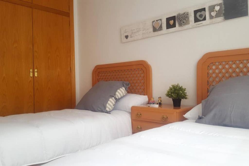 Encantador Apartamento En El Centro Lejlighed Alicante Eksteriør billede